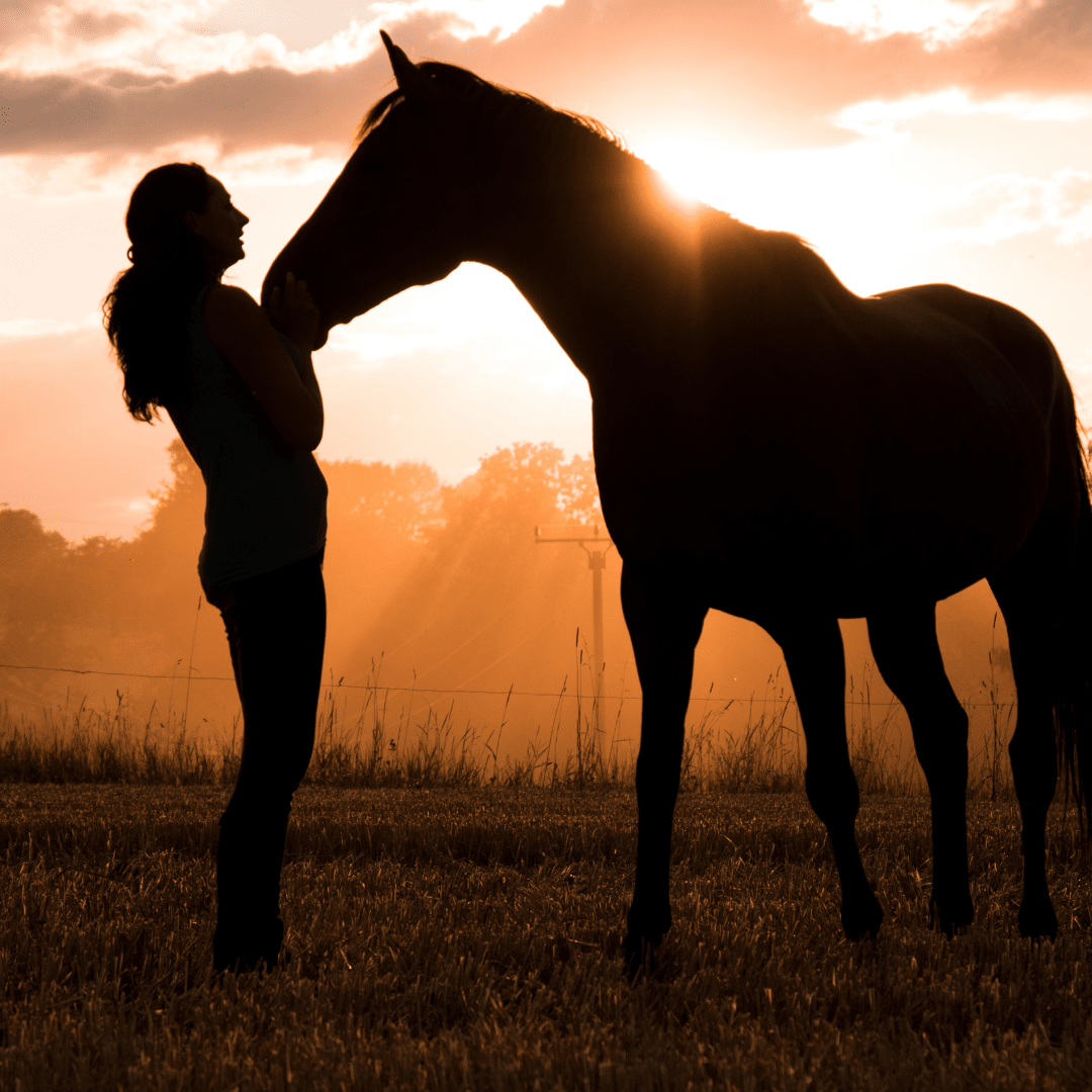 Equine Assisted Therapy and Nature-based Counselling Brisbane, supporting Adults and Children